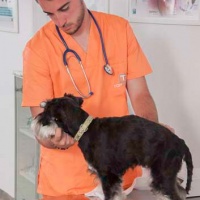 Practicas-Curso-Auxiliar-Veterinaria-01