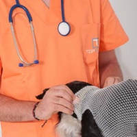 Practicas-Curso-Auxiliar-Veterinaria-12