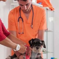 Practicas-Curso-Auxiliar-Veterinaria-30