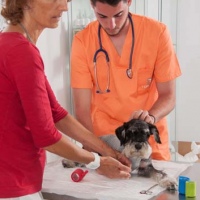 Practicas-Curso-Auxiliar-Veterinaria-33