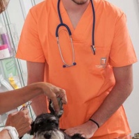 Practicas-Curso-Auxiliar-Veterinaria-43