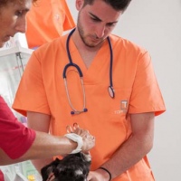 Practicas-Curso-Auxiliar-Veterinaria-44