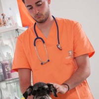 Practicas-Curso-Auxiliar-Veterinaria-45