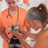 Practicas-Curso-Auxiliar-Veterinaria-52