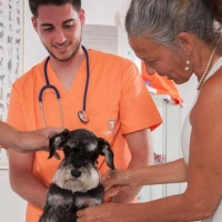 Practicas-Curso-Auxiliar-Veterinaria-54