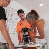 Practicas-Curso-Auxiliar-Veterinaria-55