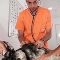 Practicas-Curso-Auxiliar-Veterinaria-59