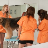 Practicas-Curso-Peluqueria-Canina-71-580x385