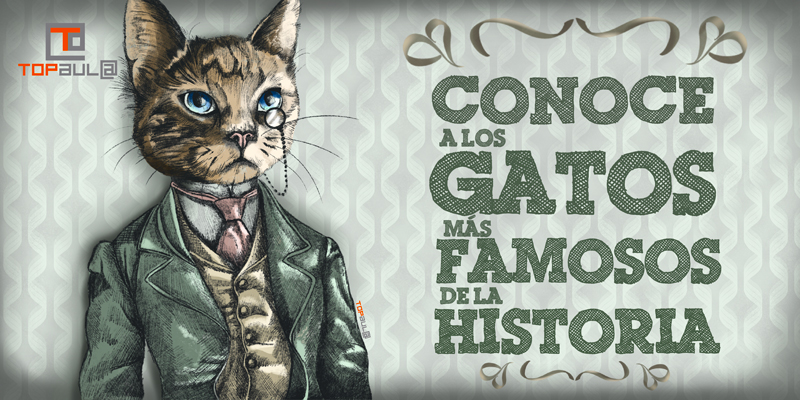 Conoce a los gatos más famosos de la historia - www.topaula.com