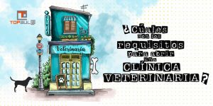 Cuáles son los requisitos para abrir una clínica veterinaria - www.topaula.com