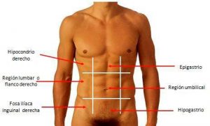 Regiones del abdomen - TOP aul@