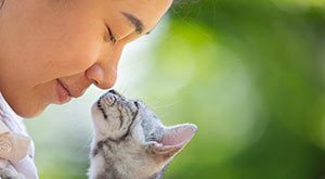 Etología Felina en Barcelona 2 - www.topaula.com - TOP aul@